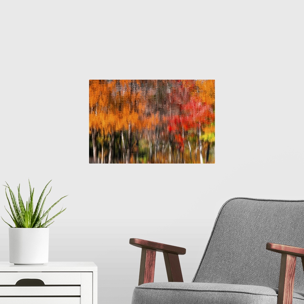 A modern room featuring New England is a beautiful place during the fall foliage. It is a color palette from green to dee...