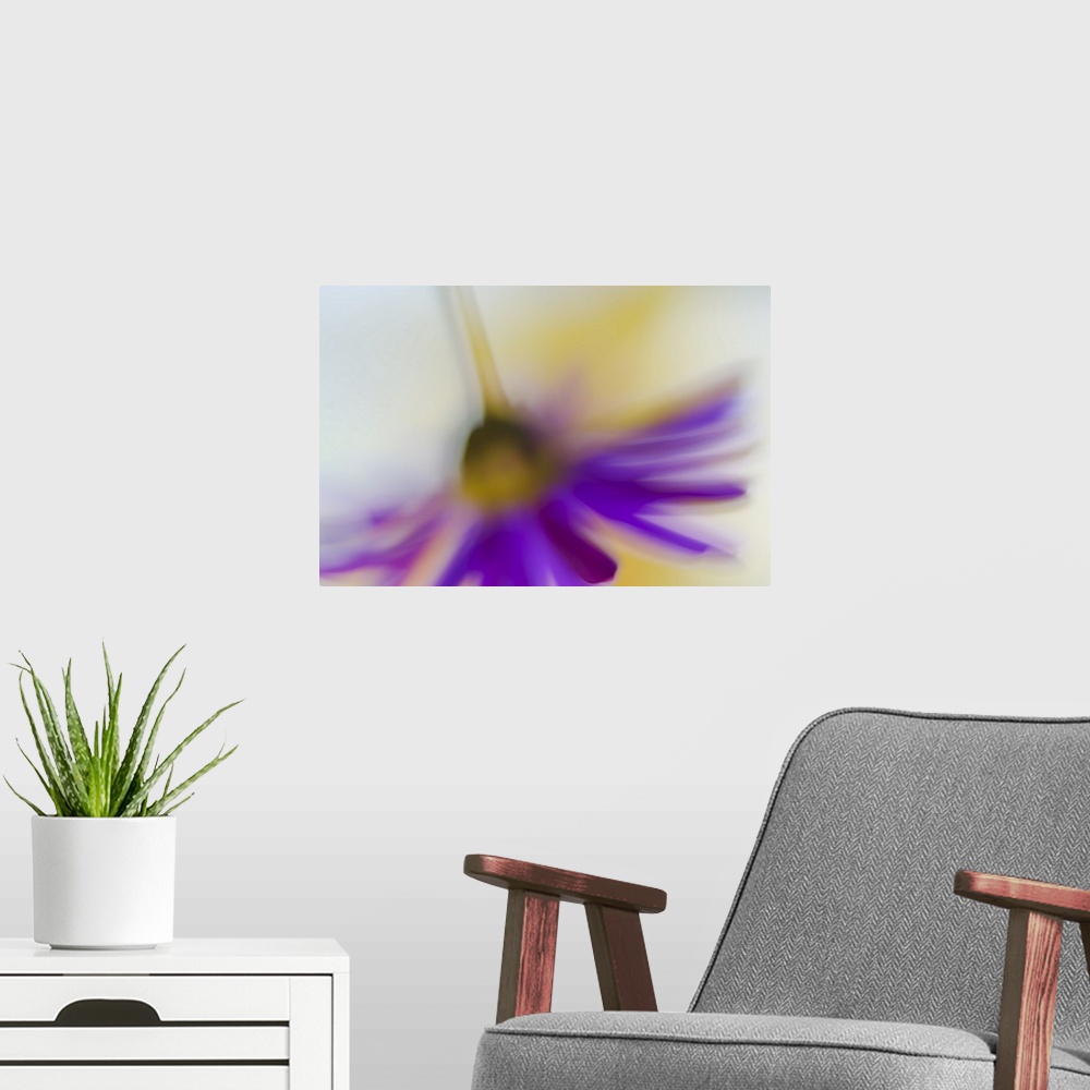A modern room featuring Blurred view of a purple flower hanging upside-down.
