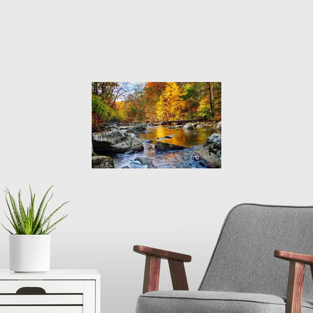 A modern room featuring Vibrant hues of Fall foliage, Black River, New Jersey.