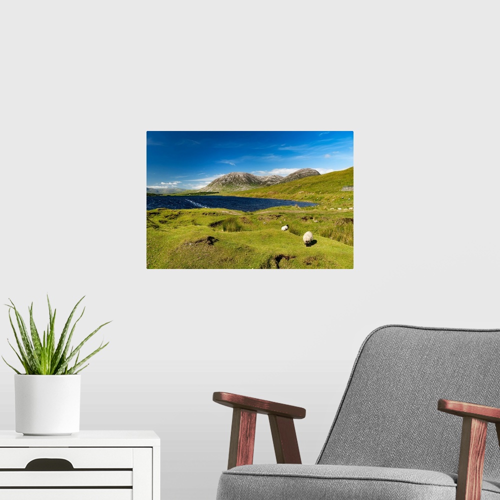 A modern room featuring Natural landscape in Ireland with lake and mountains