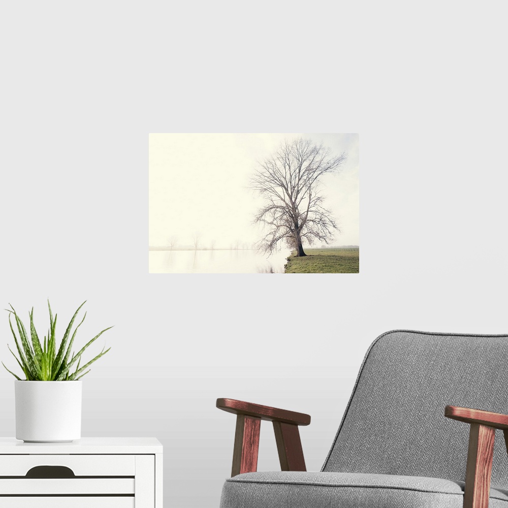 A modern room featuring Waking up in the quietude of a hazy winter morning.
