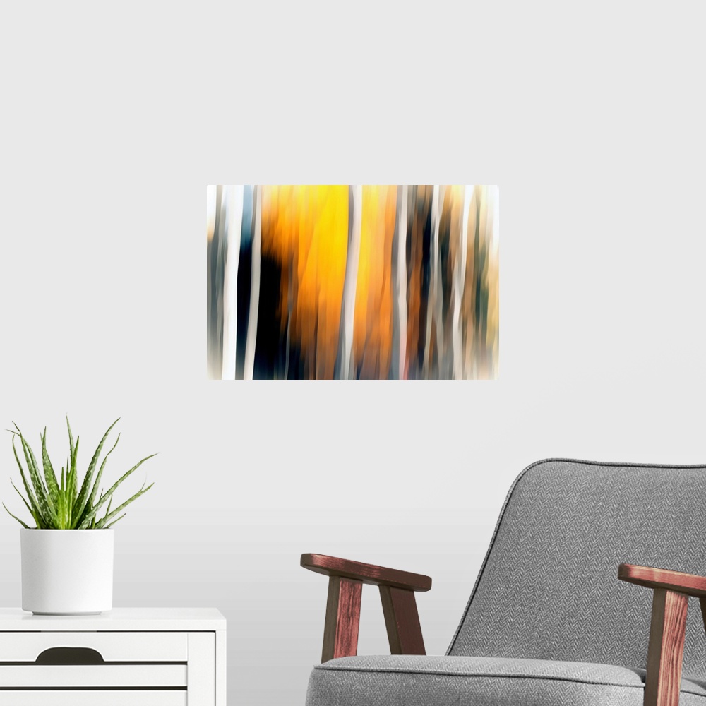 A modern room featuring Abstract landscape photograph with blurred white Birch tree trunks and a yellow and orange lit ba...