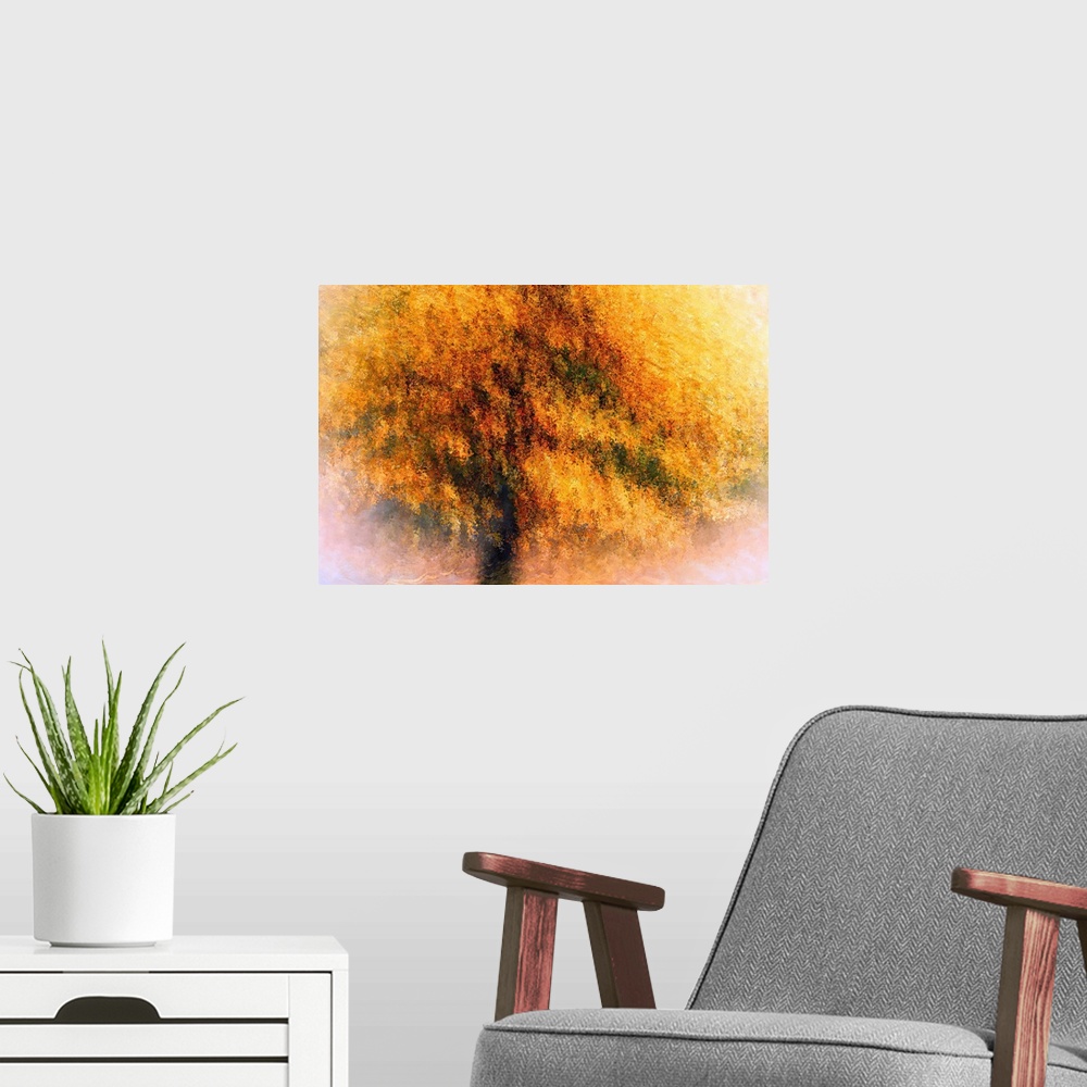 A modern room featuring Wild Apple Tree