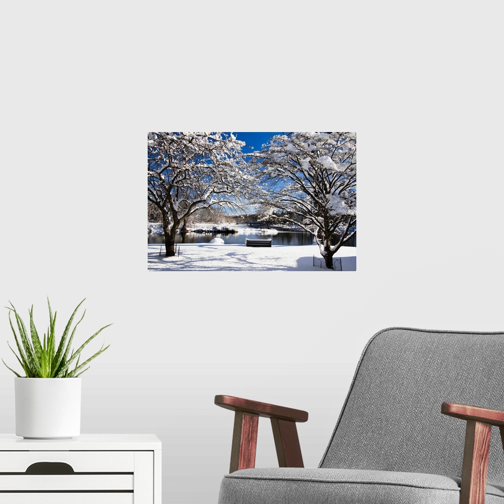A modern room featuring Snow covered trees, winter scenic, South Branch of Raritan River, Clinton, New Jersey.
