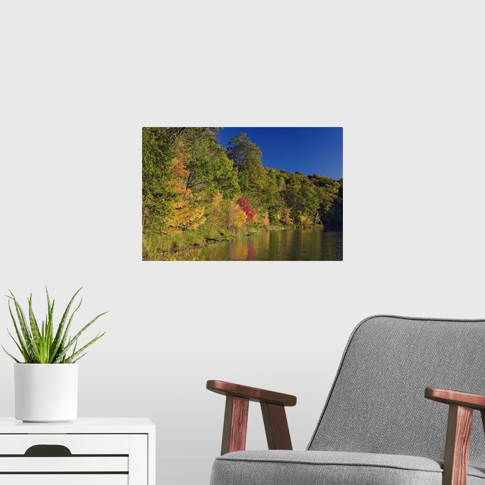 A modern room featuring Autumn color trees along Beauty Lake shoreline, Pillsbury State Forest, Minnesota
