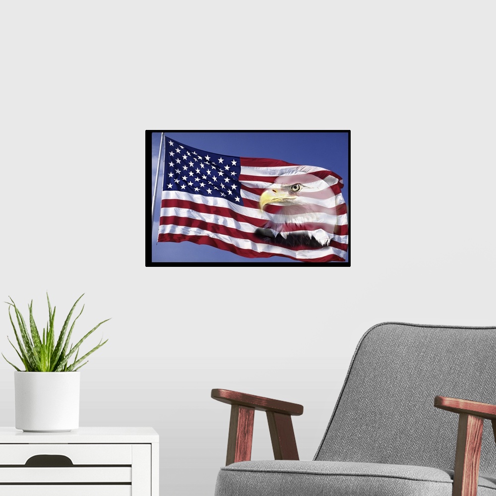 A modern room featuring Bald Eagle on Flag