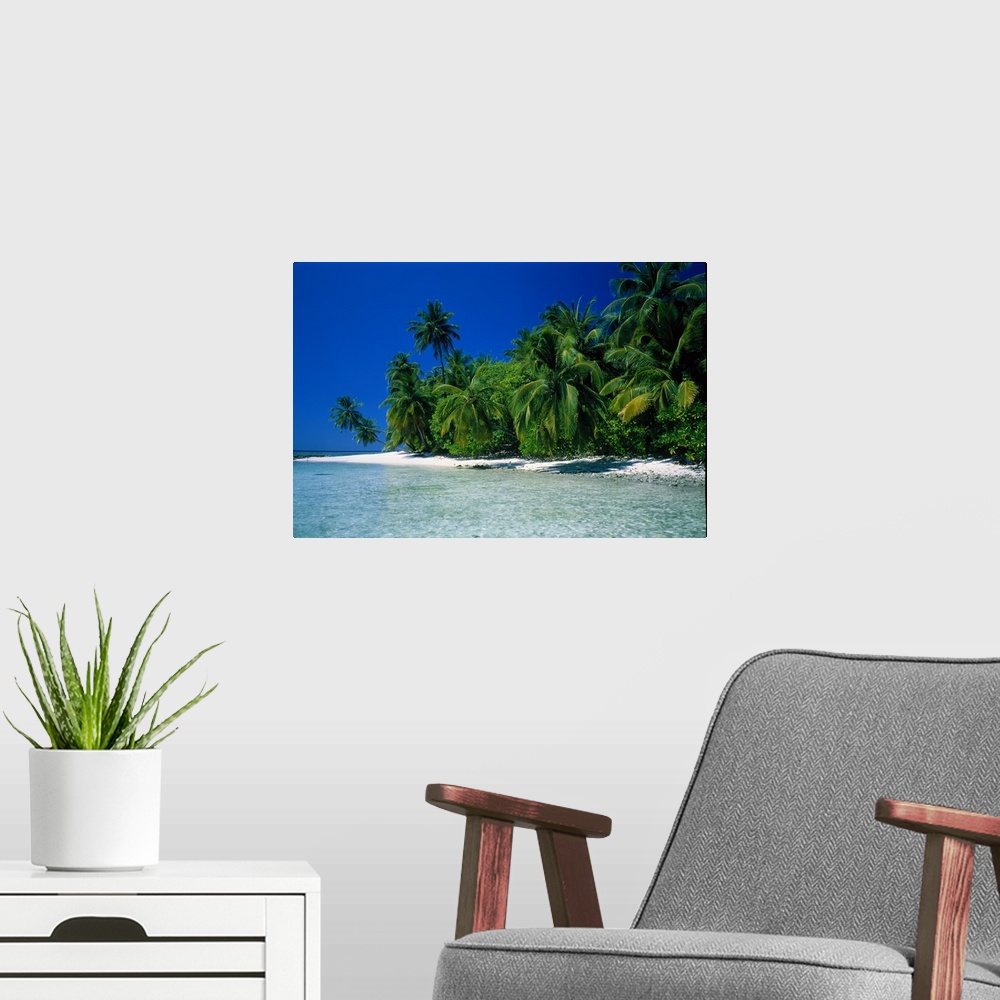 A modern room featuring Photographic print of a luscious forest of palm trees meeting a white sand beach with crystal cle...