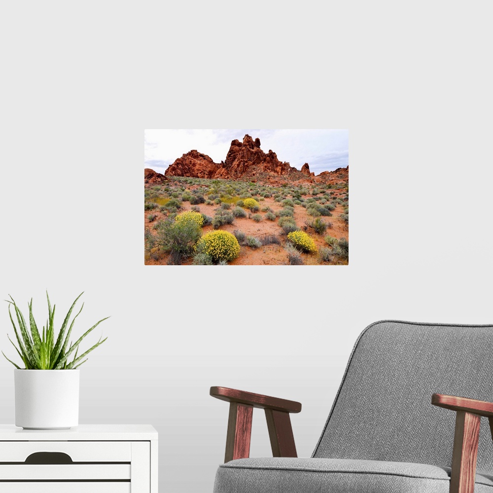 A modern room featuring Brittlebush and sandstone formations in a desert, Valley of Fire State Park, Nevada