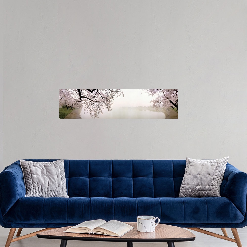 A modern room featuring Oversized horizontal panoramic photograph of newly-blossomed cherry trees beside a foggy lake in ...