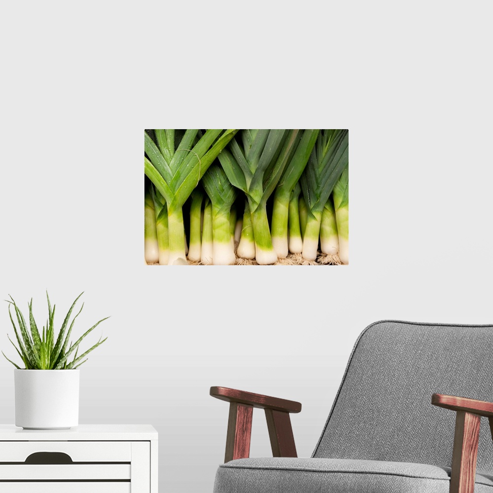 A modern room featuring Close-up of bunch of leeks