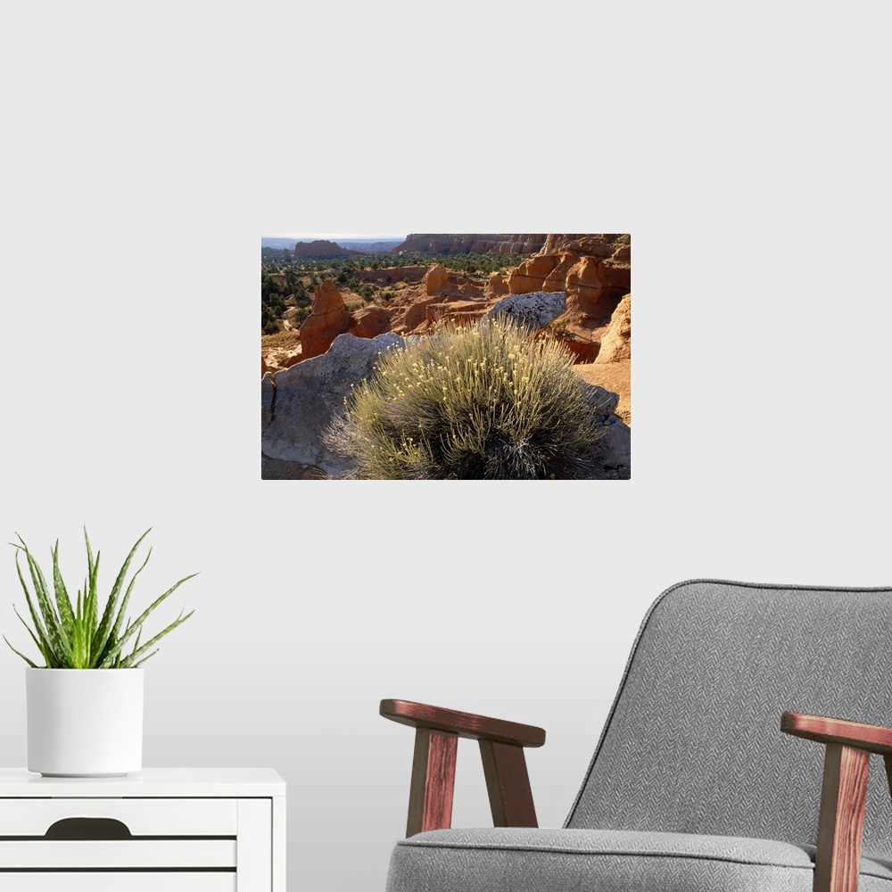 A modern room featuring Large landscape photograph of big sandstone rocks surrounded by desert vegetation, a large bush a...