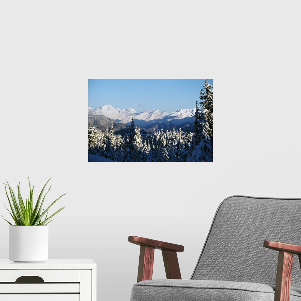 A modern room featuring Giant, horizontal, high angle photograph of snow covered pine trees near the Chugach Mountains in...