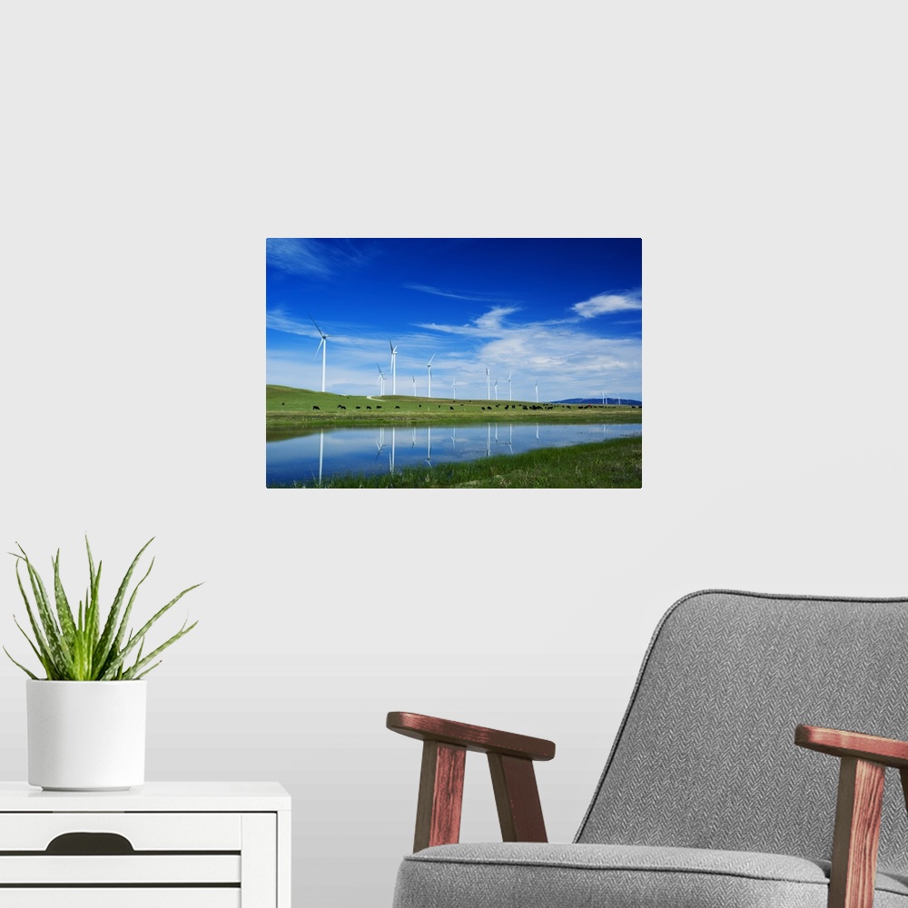 A modern room featuring Herd of cattle grazing beneath row of wind farm turbines, reflection in pond water, Montana