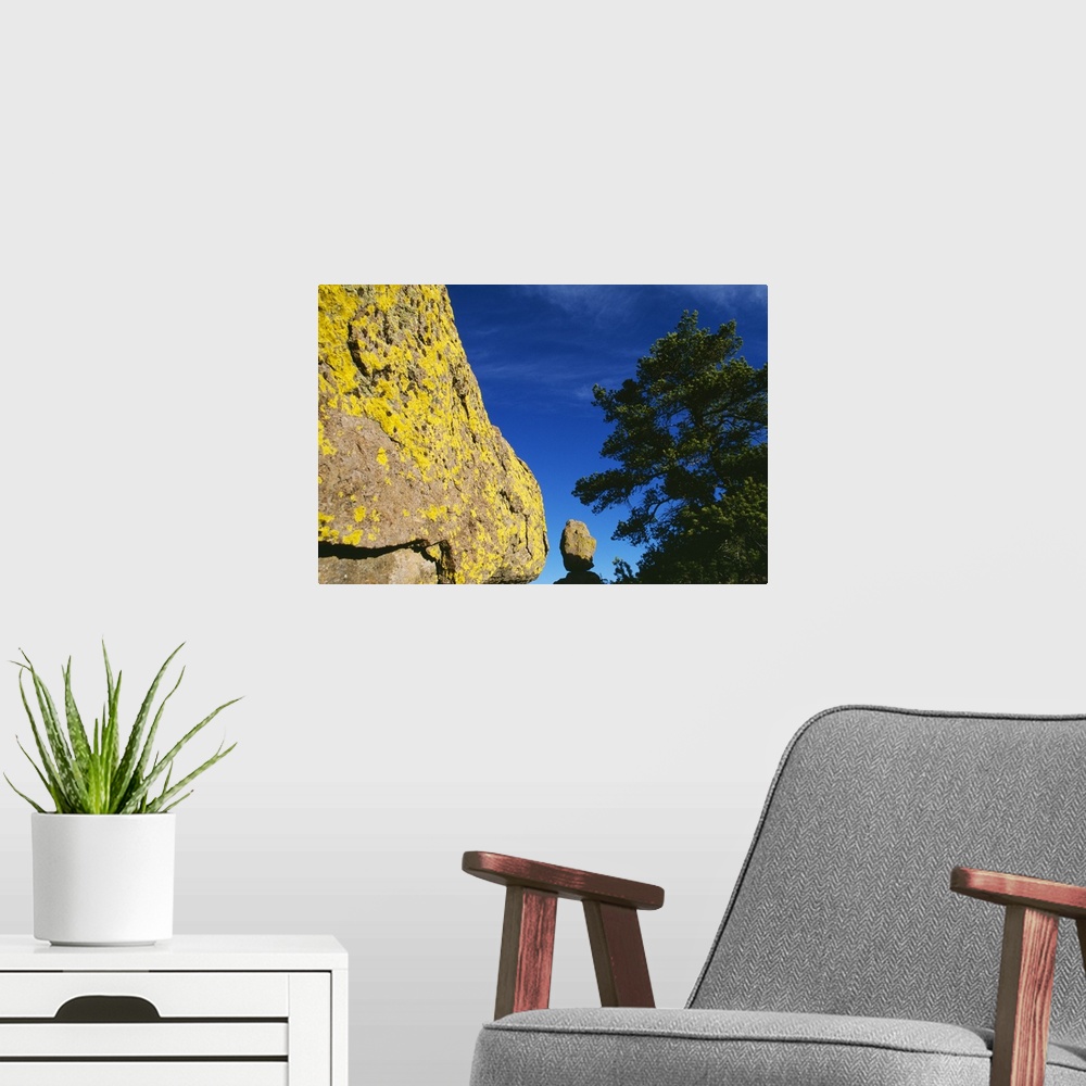 A modern room featuring Lichen-covered boulder, pine tree, blue sky, Chiricahua, New Mexico