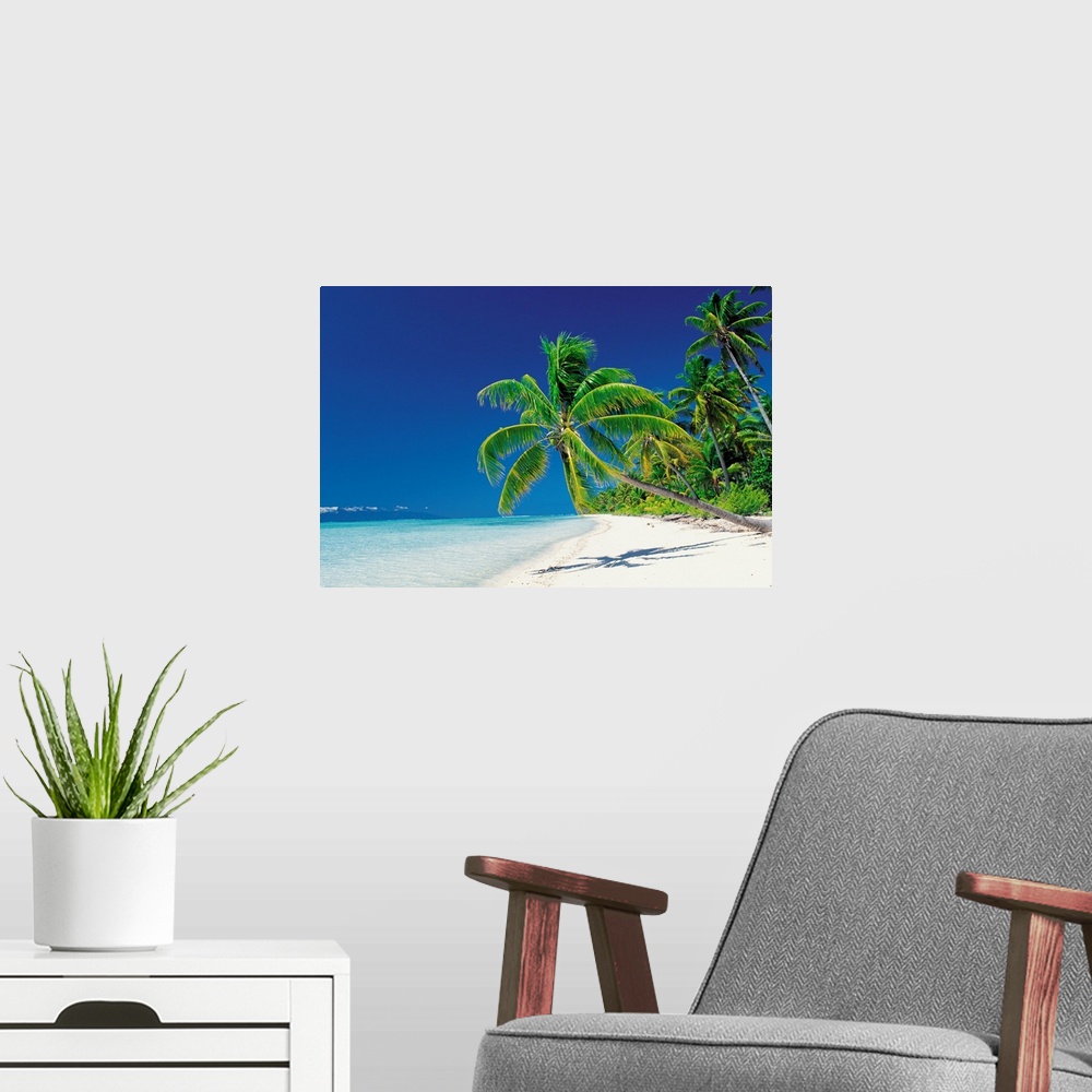 A modern room featuring Large canvas print of palm trees leaning over a beach with clear water lapping ashore.
