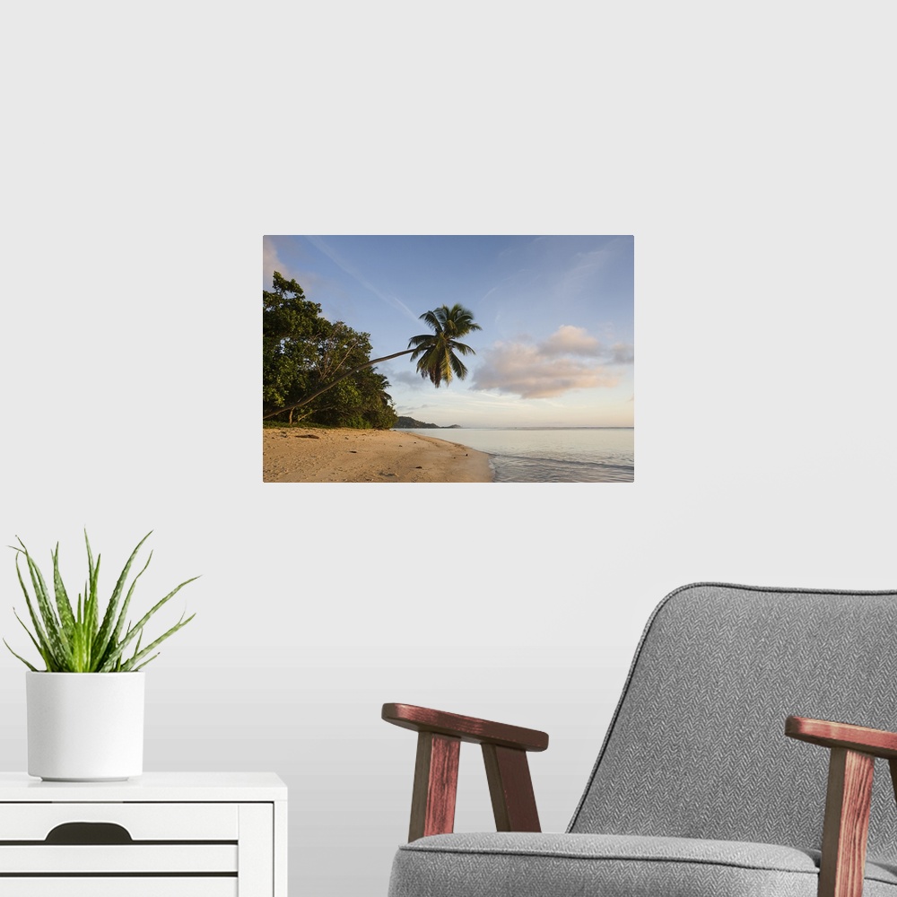 A modern room featuring Palm trees on the beach, Fairyland Beach, Mahe Island, Seychelles