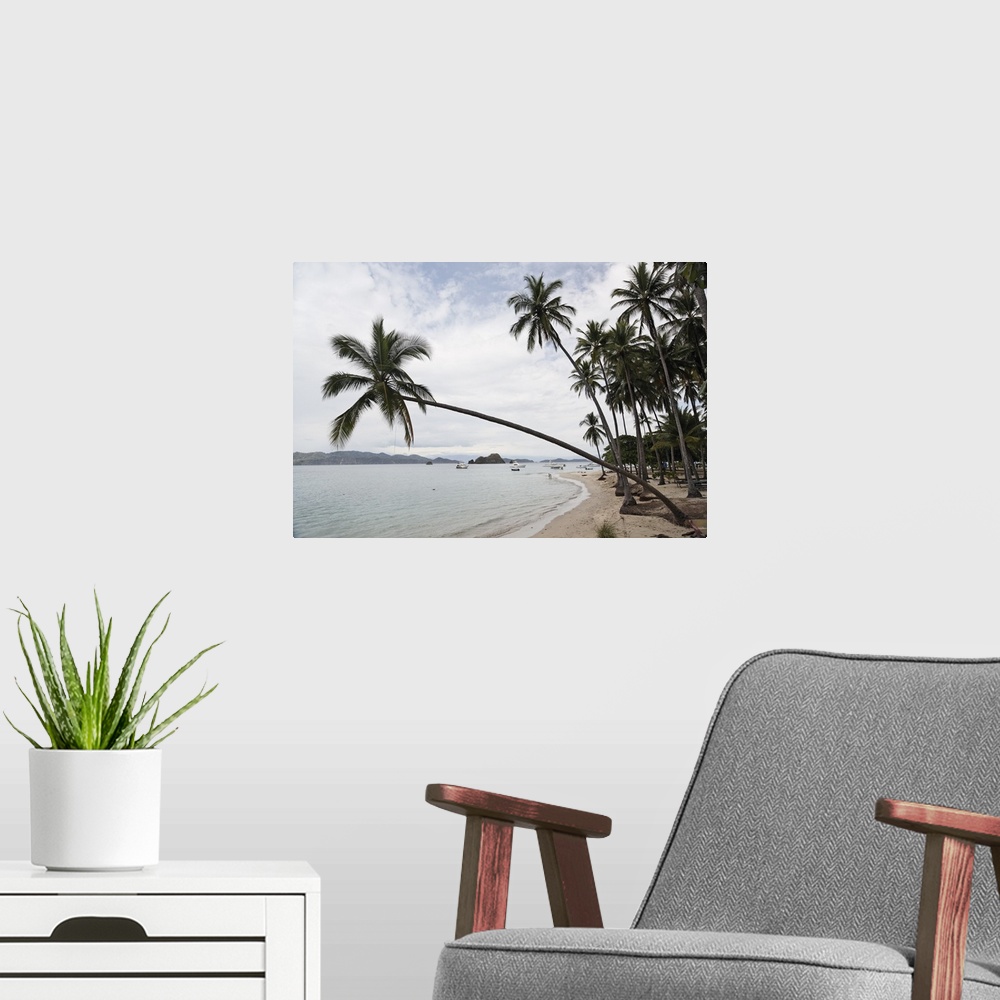 A modern room featuring Palm trees on the beach, Puntarenas, Puntarenas Province, Costa Rica