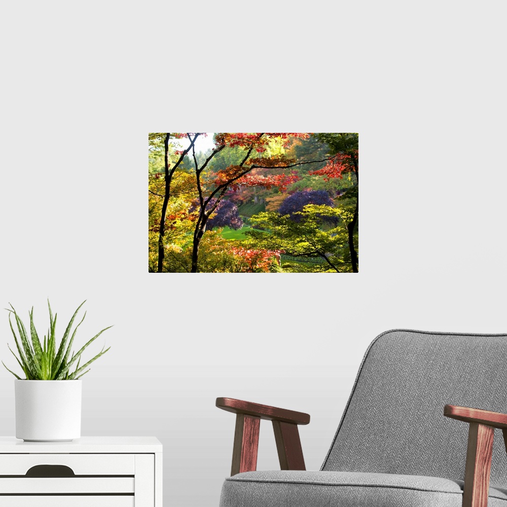 A modern room featuring Large canvas photo of brightly colored fall foliage with a garden in the distance.