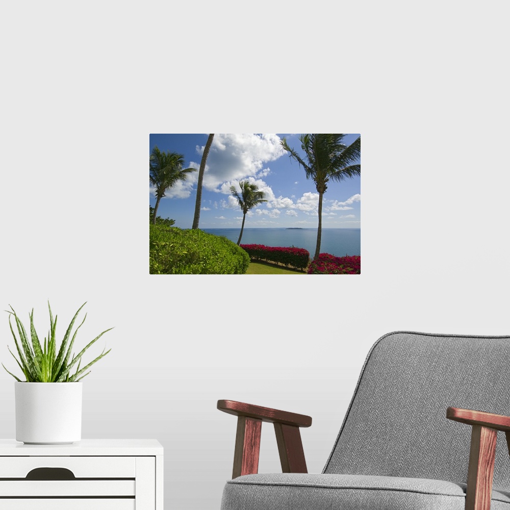 A modern room featuring Wall art of palm trees and colored shrubs lining the ocean.