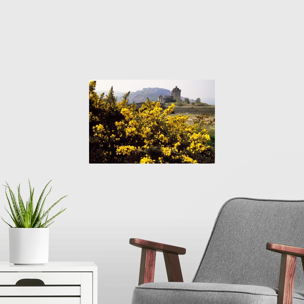 A modern room featuring Wildflowers in bloom, distant Eilean Donan Castle, Scotland.