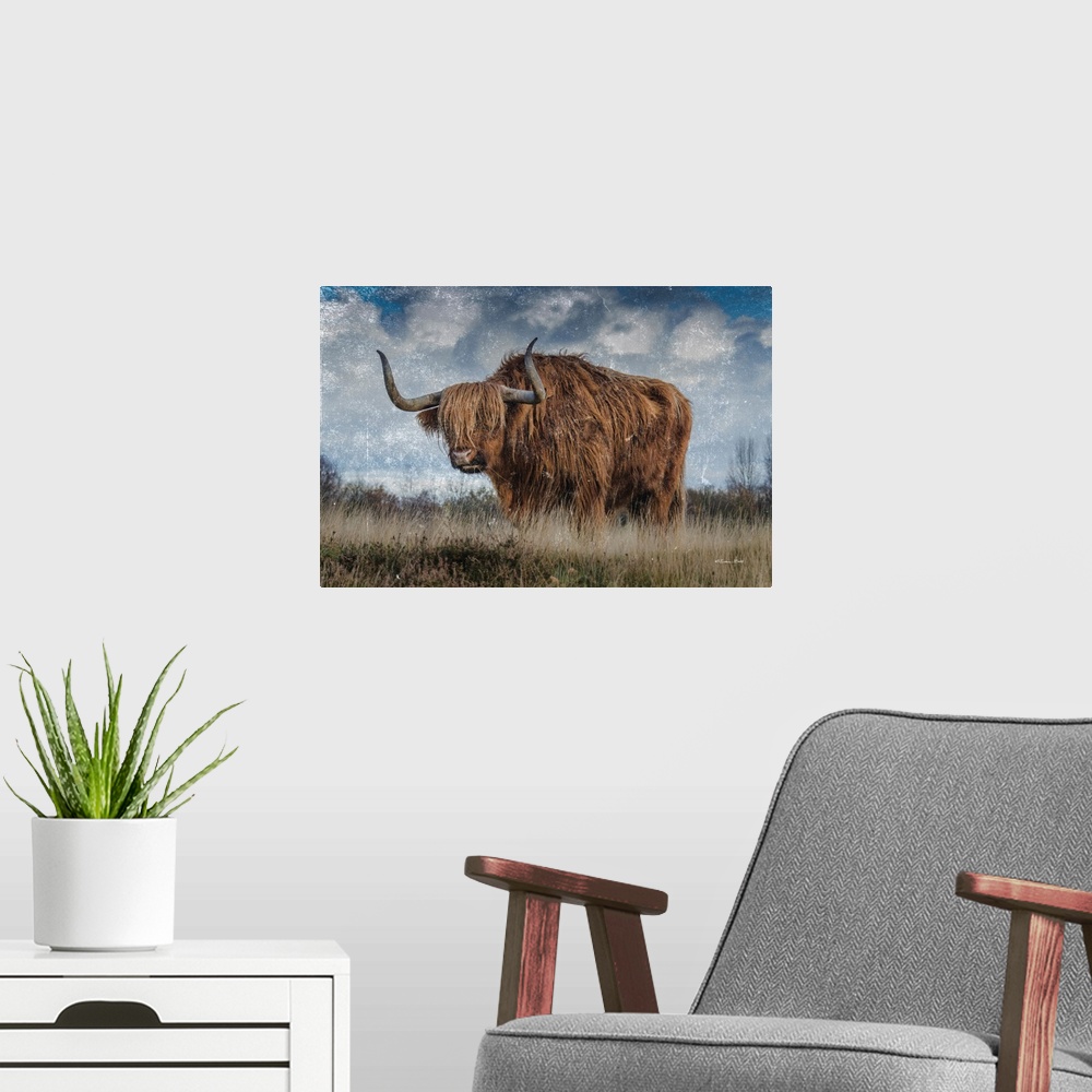 A modern room featuring Highland Bull Vintage 2
