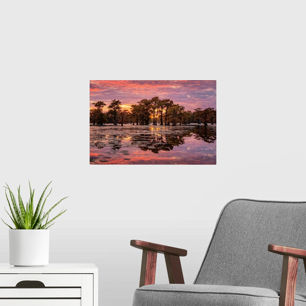 A modern room featuring Sundown in the Swamps