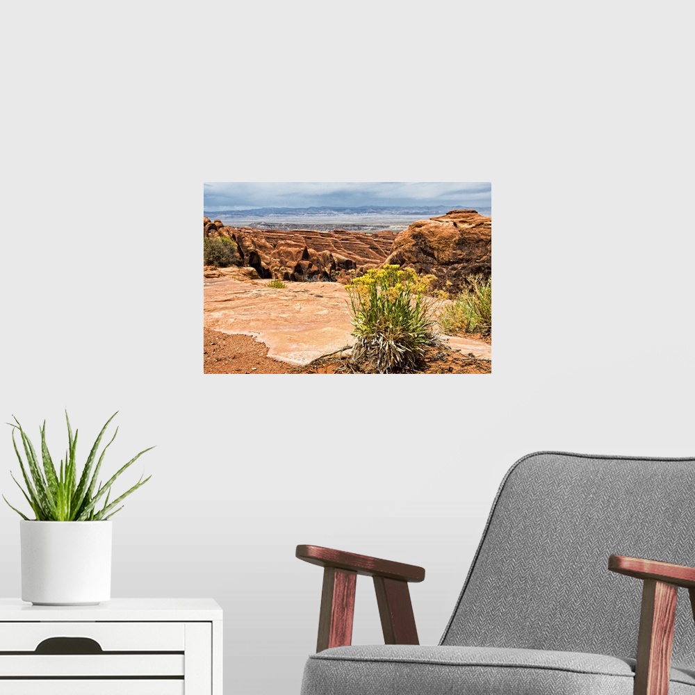 A modern room featuring The rocky desert landscape of Arches National Park in Moab, Utah.
