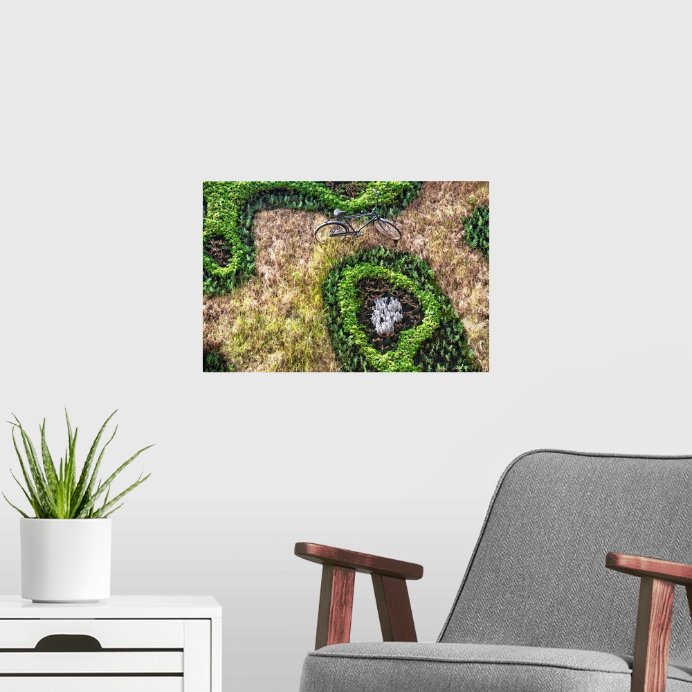A modern room featuring Landscape photograph from above of a bicycle amongst a grassy field and plants. From the Viva Mex...