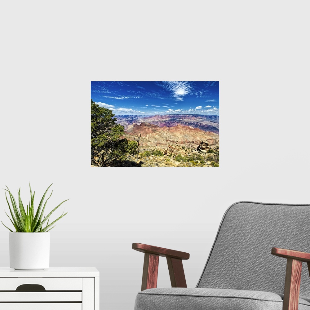 A modern room featuring Photo of the Grand Canyon landscape showing the variety of colors found in the desert.