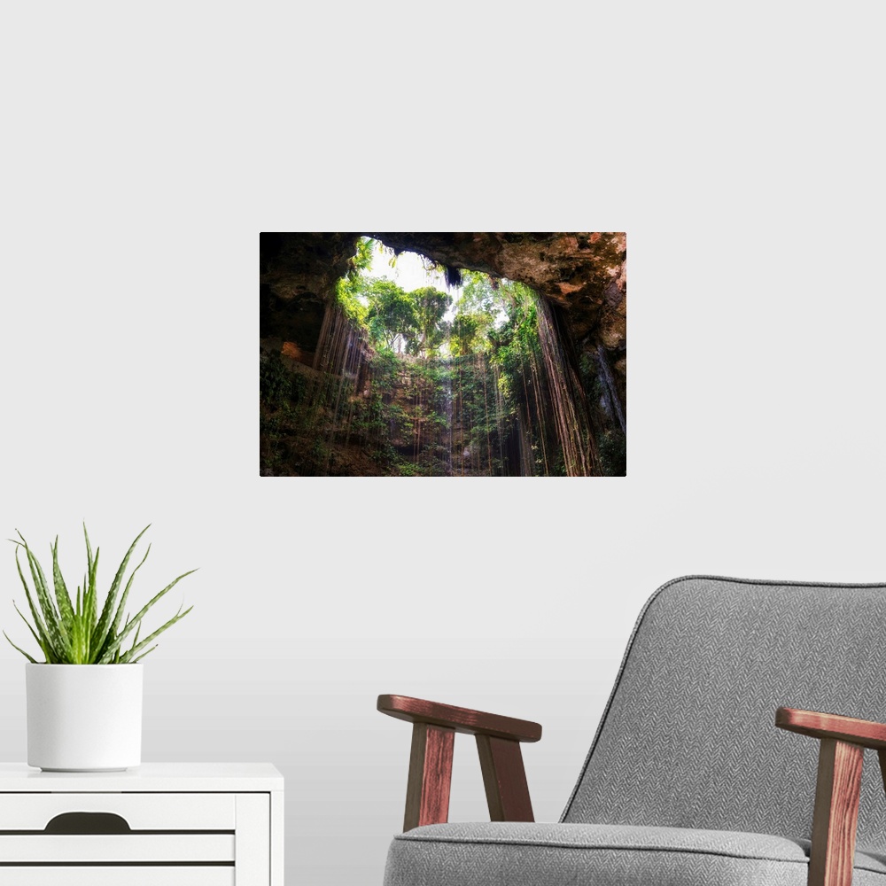 A modern room featuring Photograph of the Ik-Kil cenote in Mexico from the bottom looking up. From the Viva Mexico Collec...