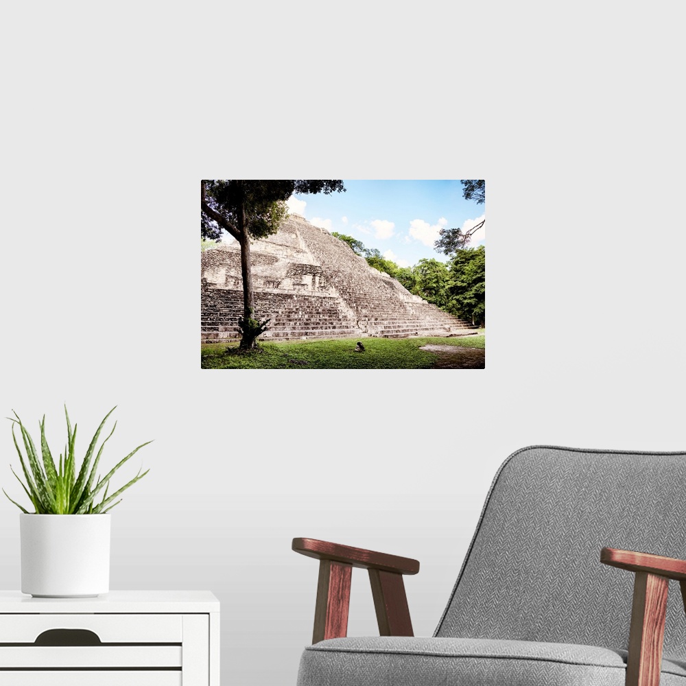 A modern room featuring Photograph of an ancient Maya Pyramid in Mexico. From the Viva Mexico Collection.