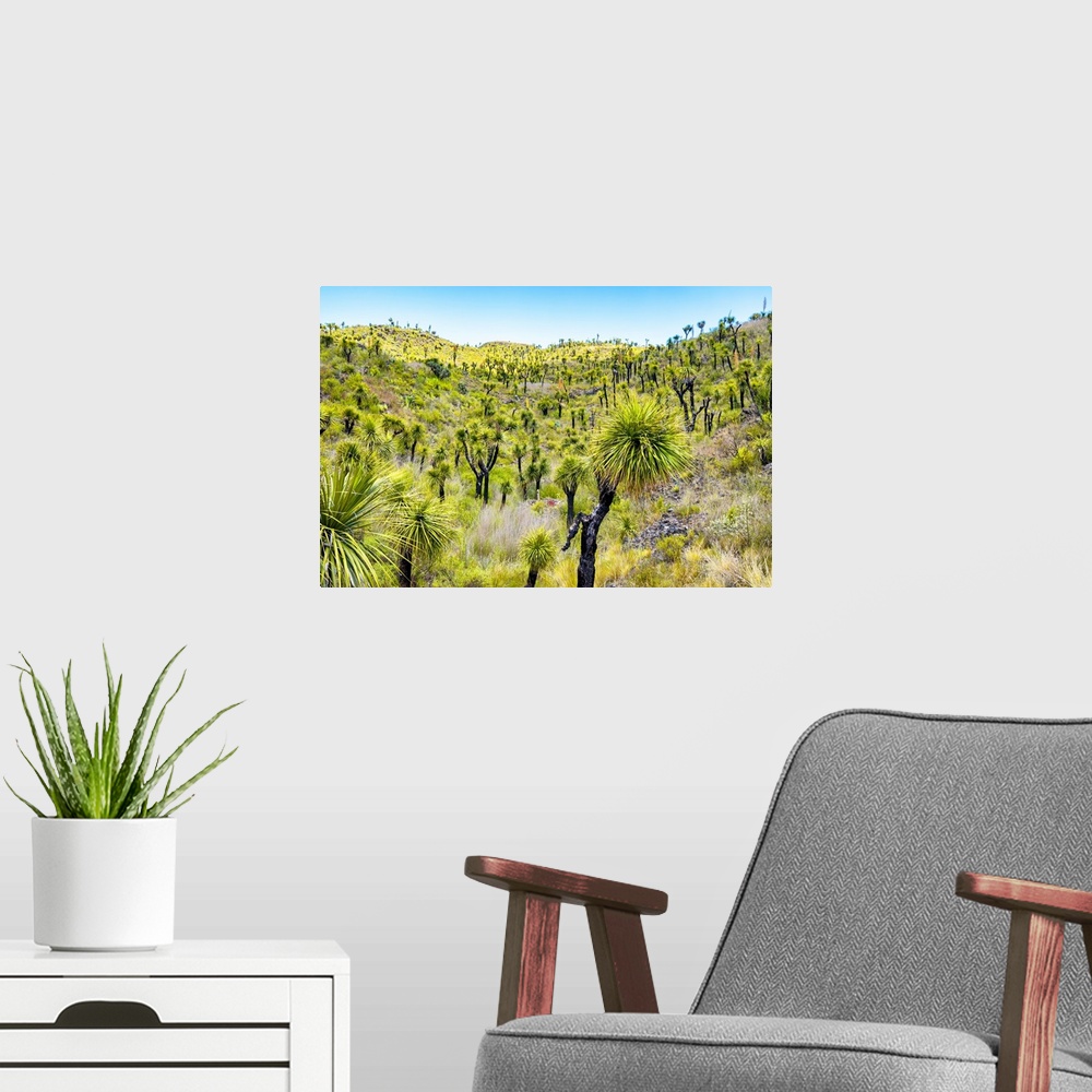 A modern room featuring Landscape photograph of green vegetation in Mexico. From the Viva Mexico Collection.