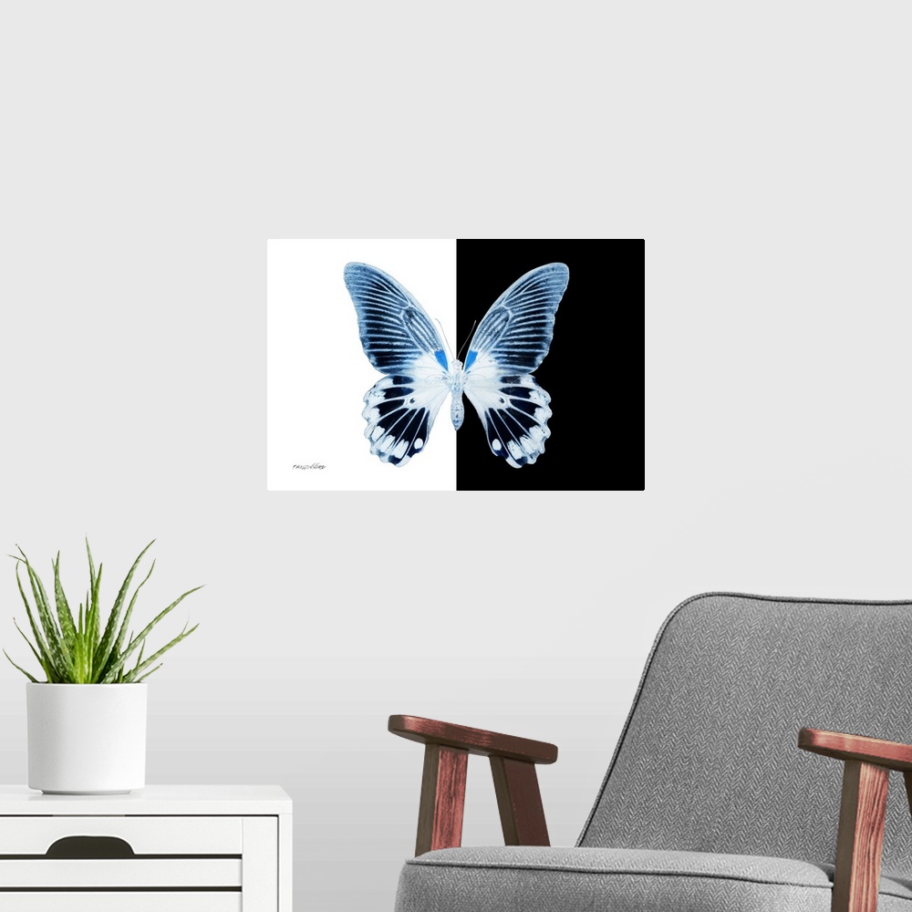 A modern room featuring Miss Butterfly Agenor - X-Ray B