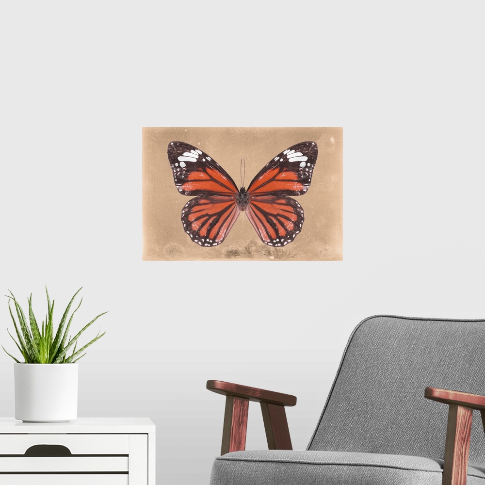 A modern room featuring Photograph of a butterfly on an orange sparkly background.