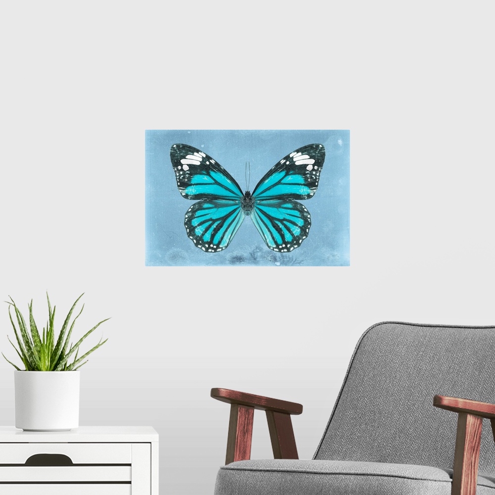 A modern room featuring Photograph of a butterfly on a blue sparkly background.