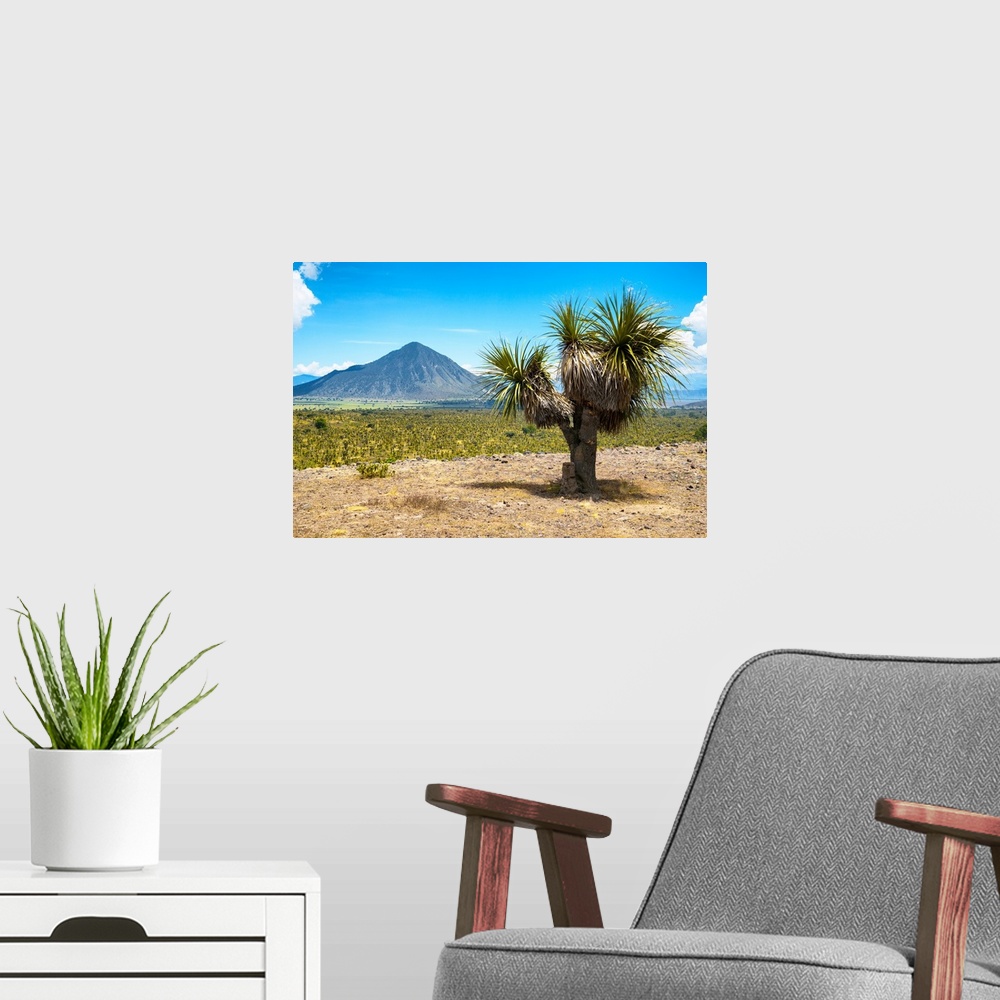 A modern room featuring Desert landscape photograph with a mountain in the background located in Puebla, Mexico. From the...