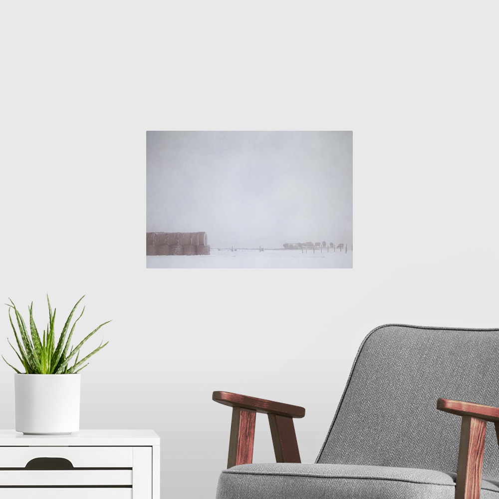 A modern room featuring Pictorialist photo of a small herd of cattle in the pen during feeding time on a foggy winter day.