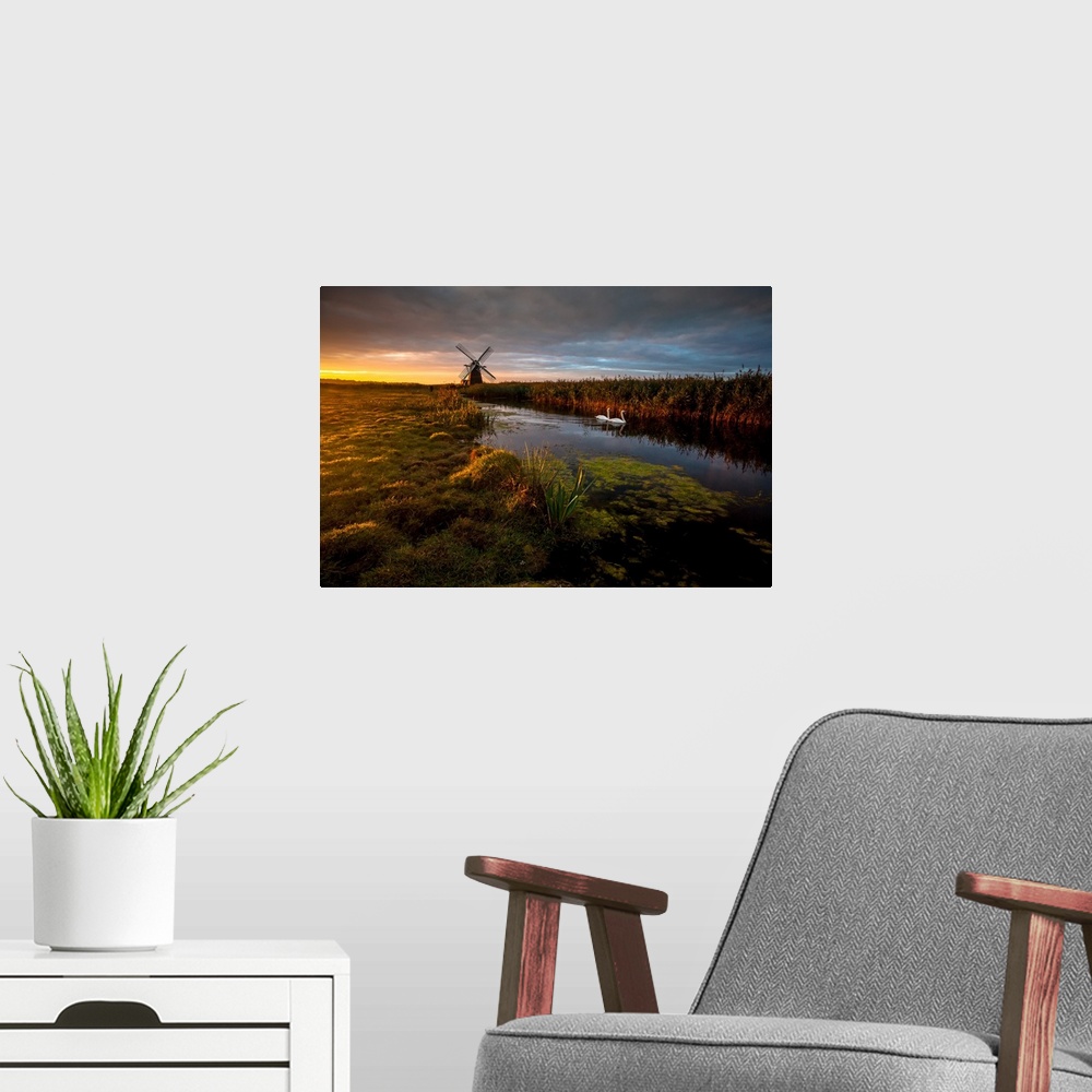 A modern room featuring Two swans in the river in Herringfleet, with a windmill in the back, at sunrise, England.