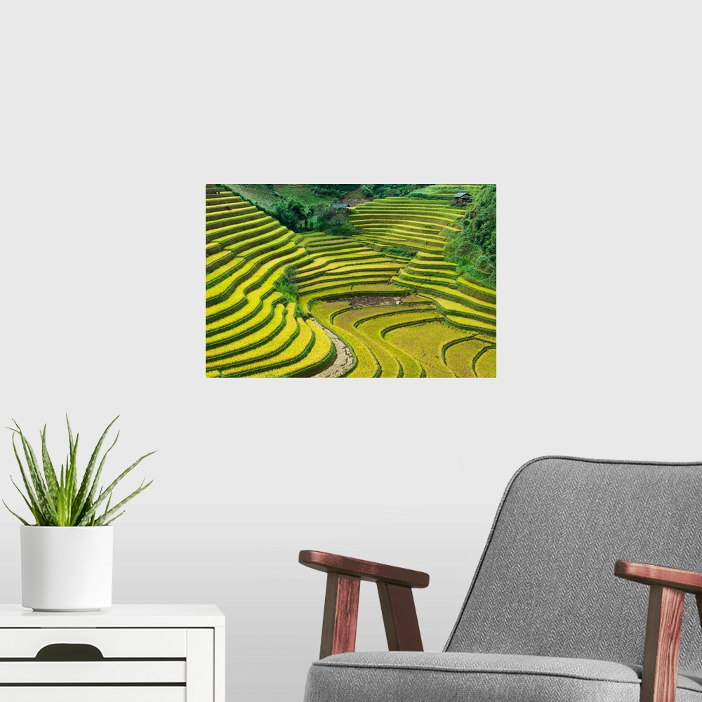 A modern room featuring Terraced hills for growing rice in Vietnam.