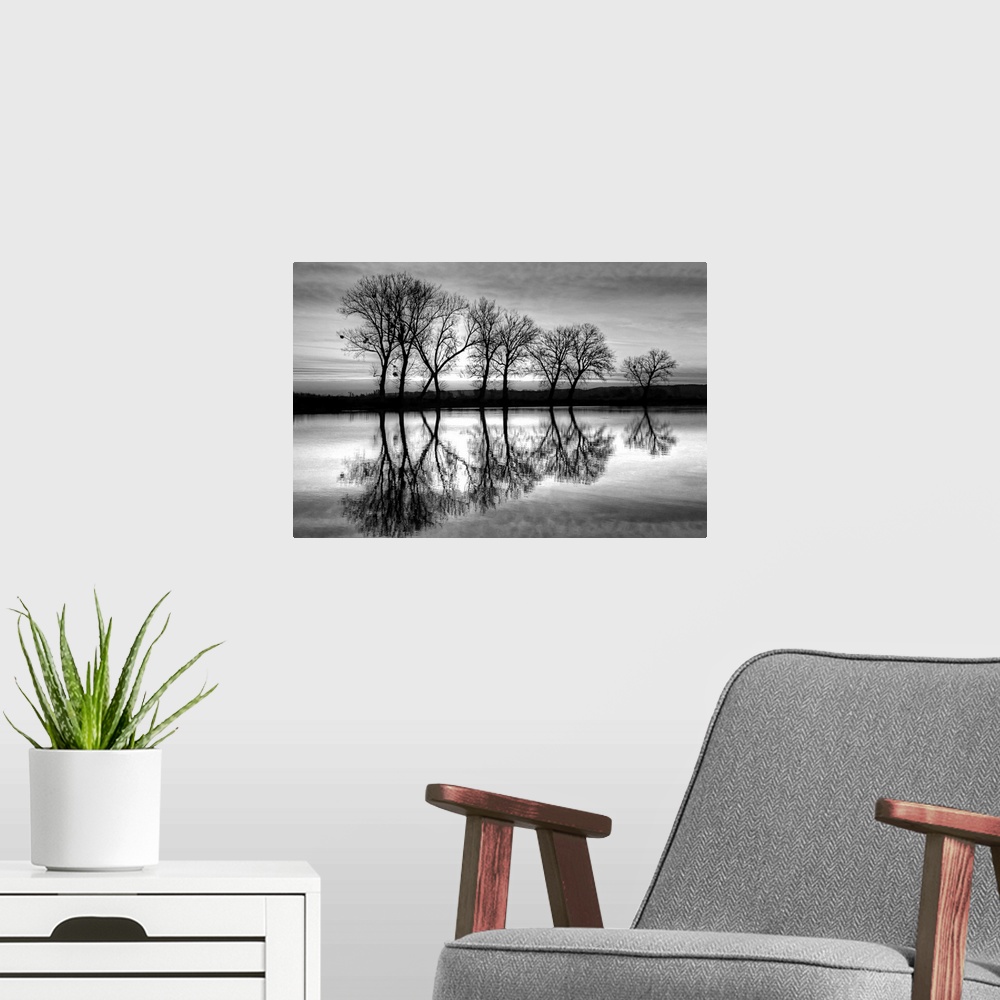A modern room featuring A black and white photograph of a line of trees reflecting in a canal below.