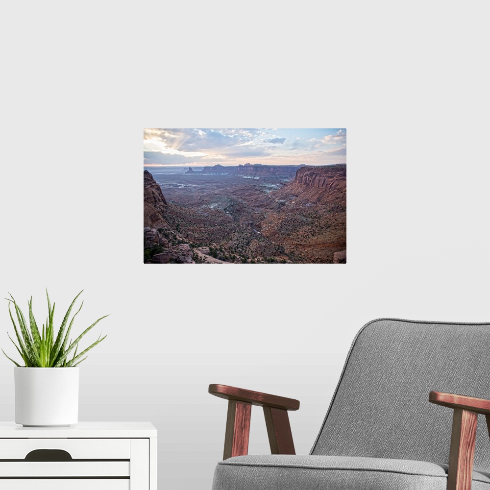 A modern room featuring Small bushes and red sandstone make up the canyon landscape at Canyonlands National Park, Moab, U...