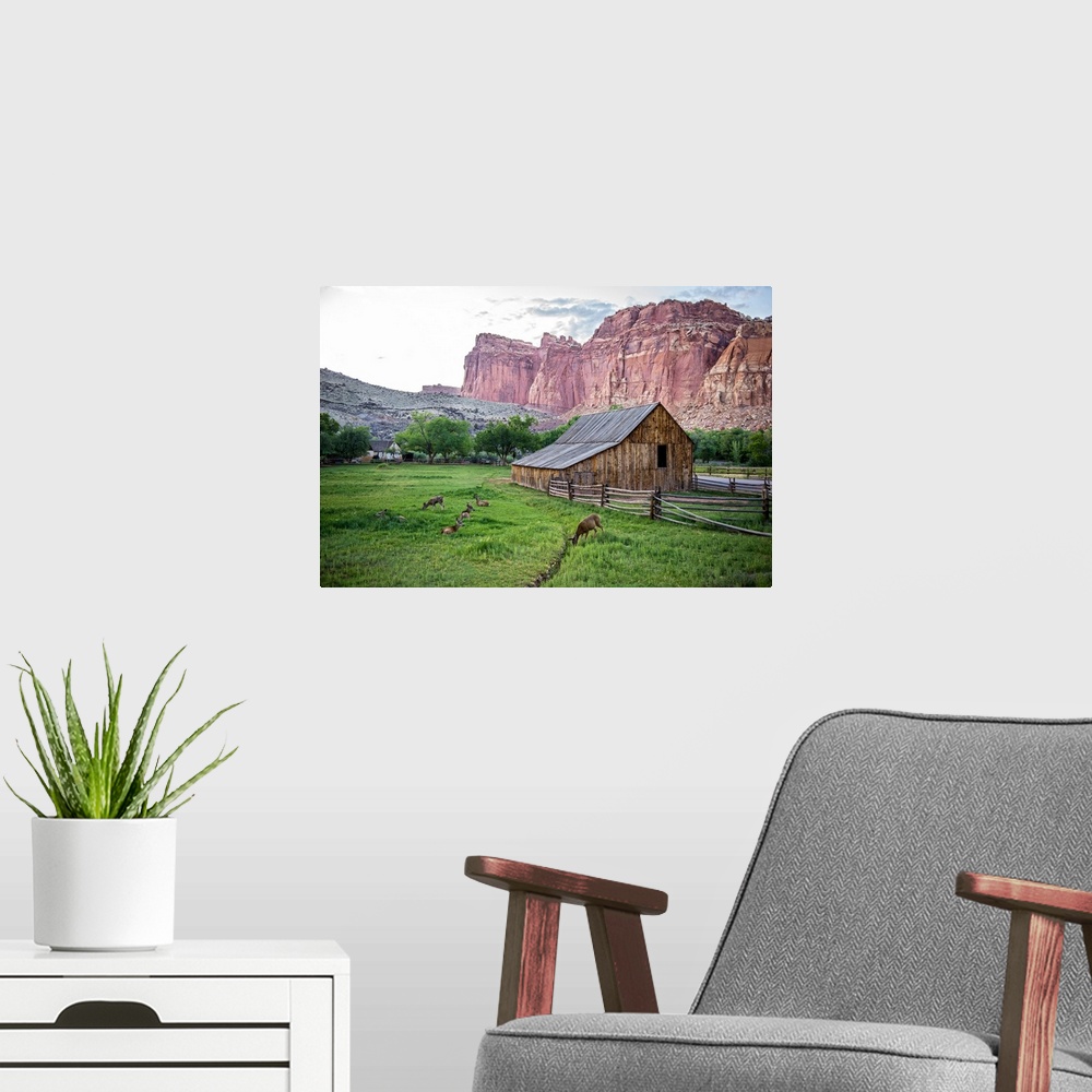 A modern room featuring Gifford Homestead with the cliffs of the Waterpocket Fold overlooking it at Capitol Reef National...