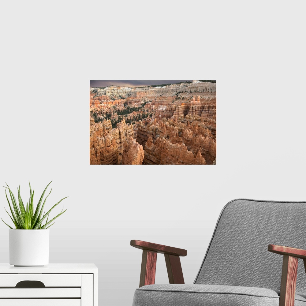 A modern room featuring Orange sedimentary rocks form spire-like hoodoo structures in the Bryce Canyon Amphitheater in Br...