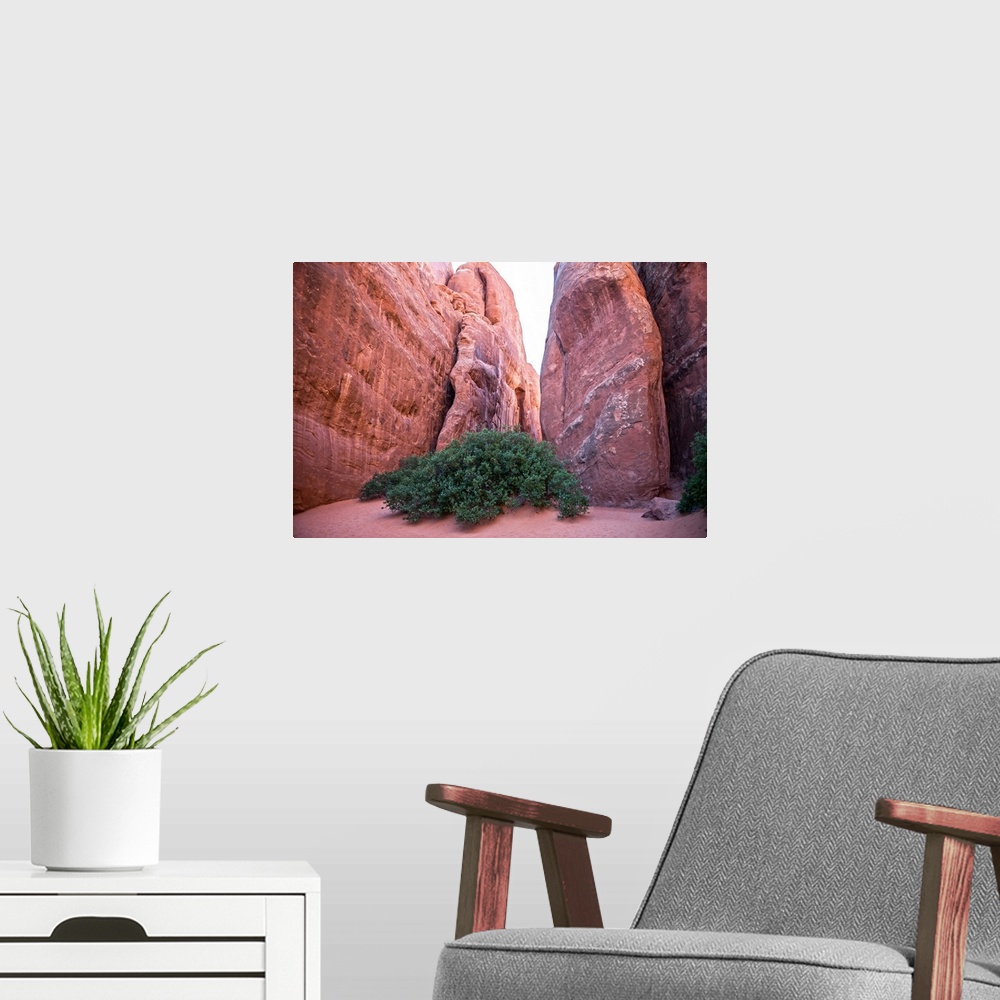 A modern room featuring Narrow sandy trail between red sandstone fins on the way to Sand Dune Arch, Arches National Park,...