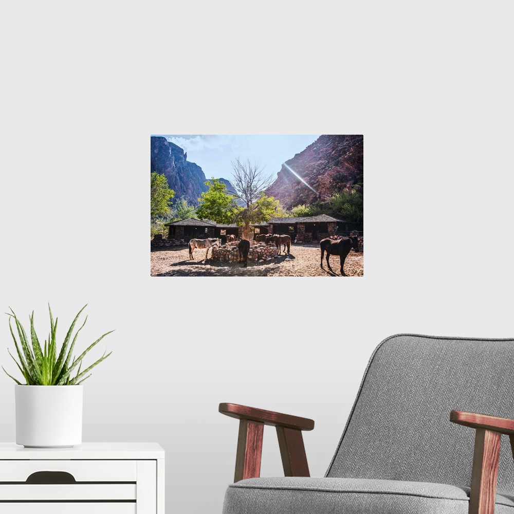 A modern room featuring Stable near Bright Angel Trail in Grand Canyon National Park, Arizona.