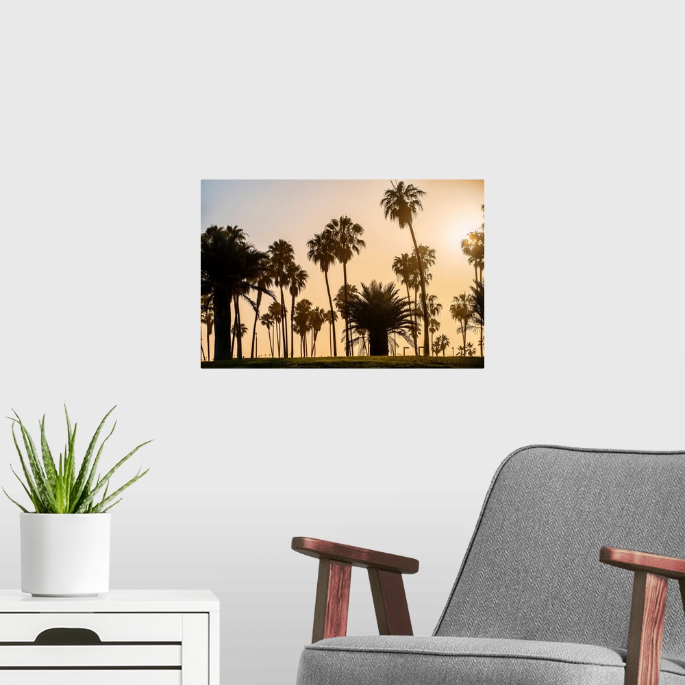 A modern room featuring A view of silhouetted palm trees as the sun sets in San Diego, California.