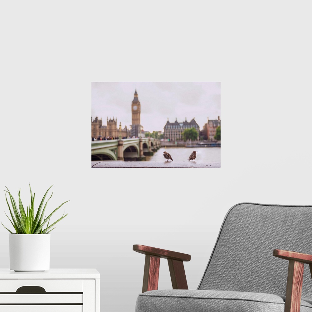 A modern room featuring Photograph of two birds perched on a ledge in front of the River Thames with Big Ben blurred in t...