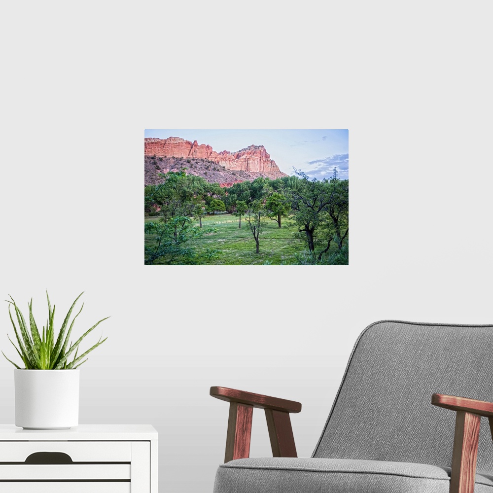 A modern room featuring View of Capitol Reef Rock Ridges near Cohab Canyon from Fruita's Orchards in Capitol Reef Nationa...