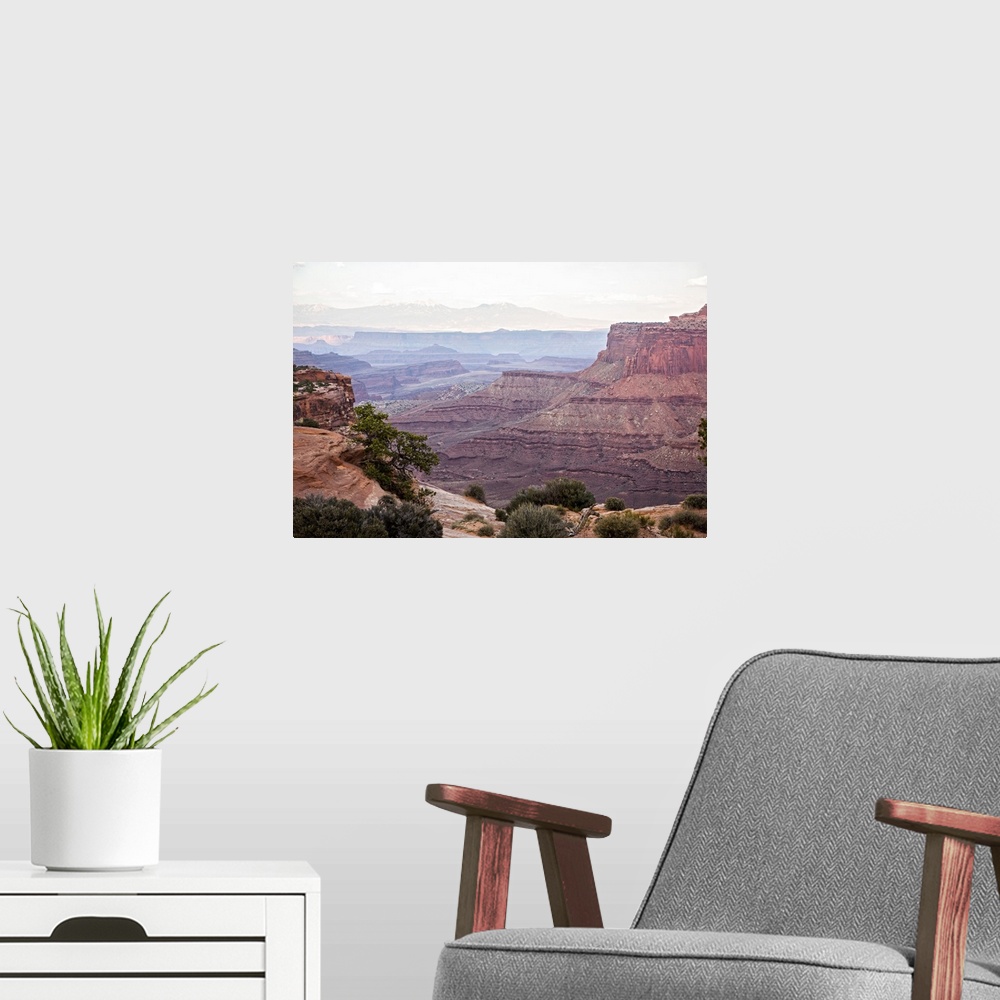 A modern room featuring View of the red sandstone cliffs, with visible sediment lines in the eroded rock, Canyonlands Nat...