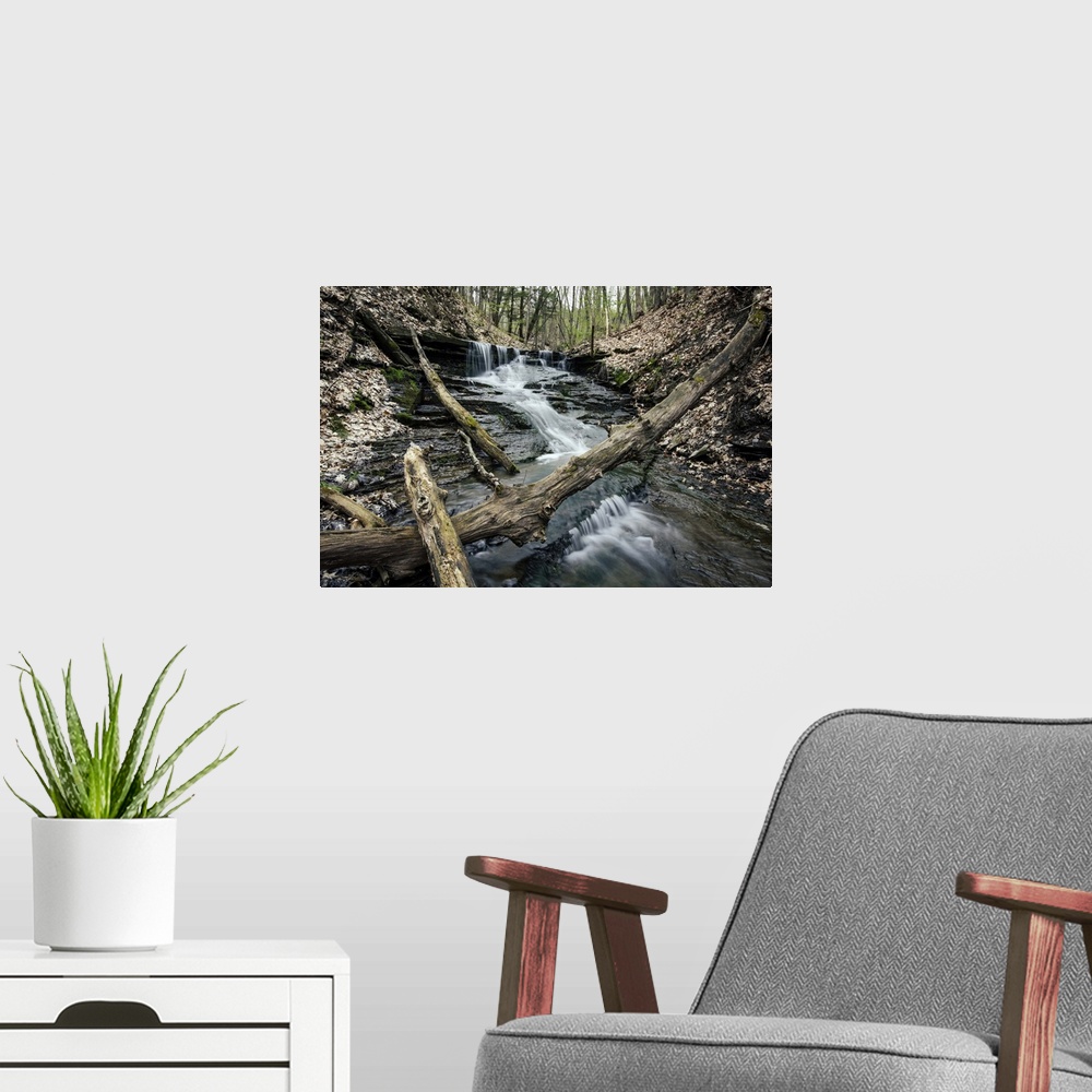 A modern room featuring Landscape photograph of Wolf Creek rushing down rocks in Letchworth State Park, NY.